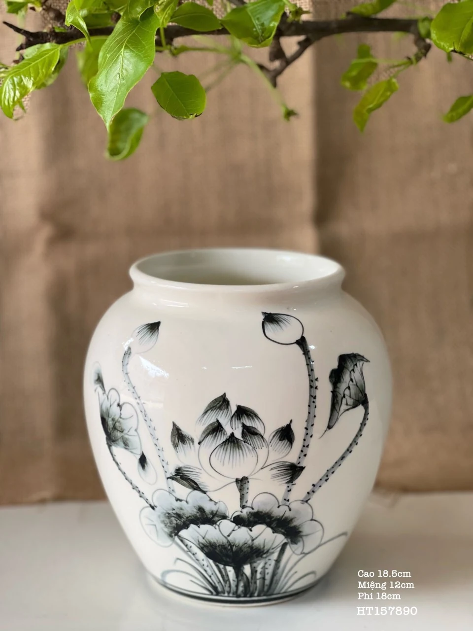 Lọ hoa sen đen men trắng cao 18,5 cm, miệng 12 cm, thân rộng 18 cm