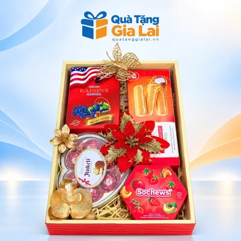 Bộ quà Tết Xuân Về 03 phối bánh kẹo và nho khô trong khay đỏ
