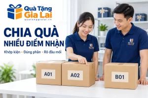 Ba kiện A01, A02 và B01 được đặt thành hai nhóm trên bàn